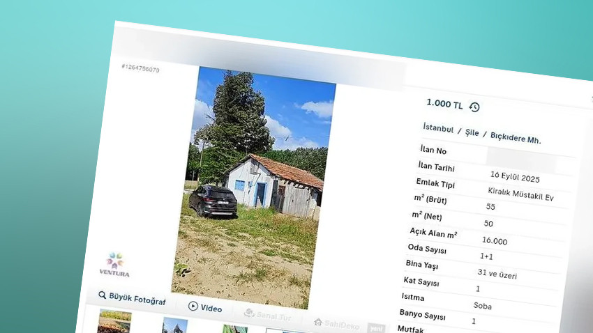 Kira bedava! Ama şartları duyan şaştı kaldı