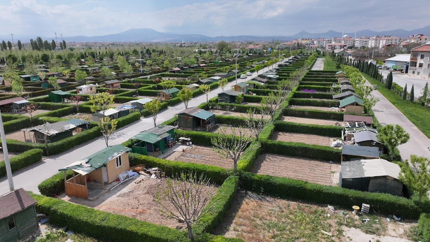 Hobi bahçesi furyasına sert fren