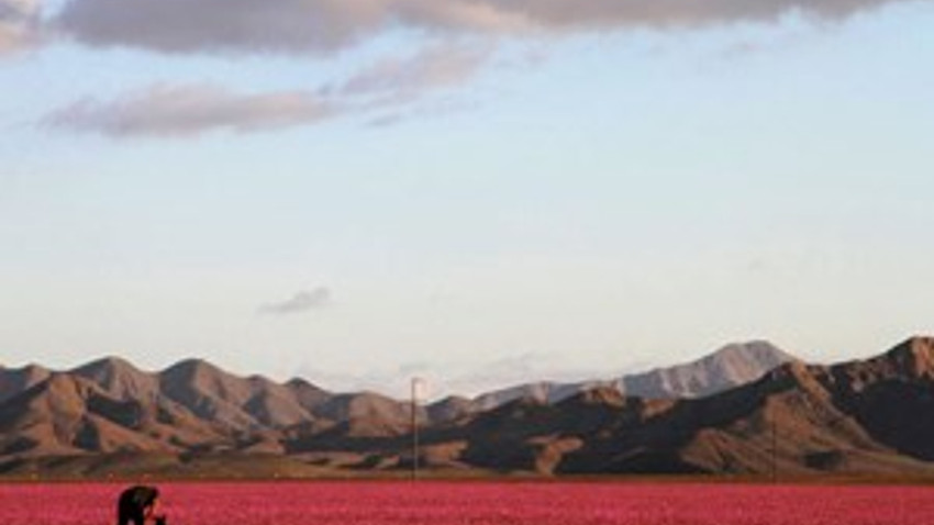 Dünya'nın en kurak yeri turist akınında!