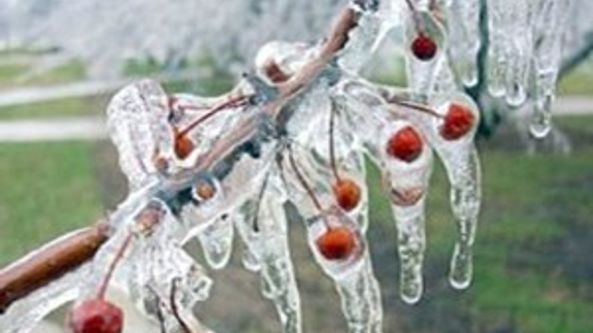 Meteoroloji uyardı! Buzlanmaya dikkat!