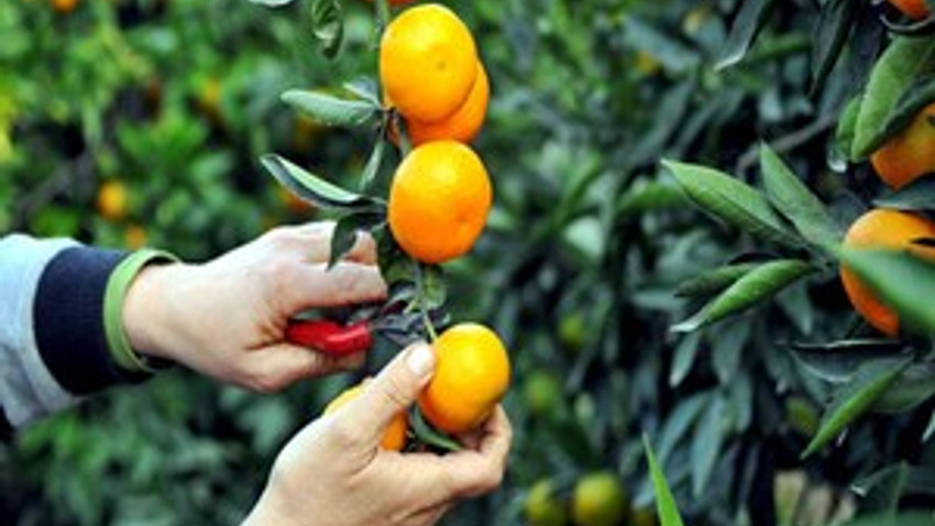 Rusya'nın resti, 2 kat maliyet olarak geri dönecek