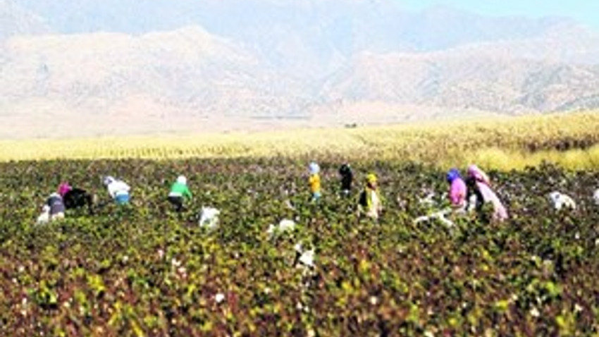 Diplomalı işçiler!