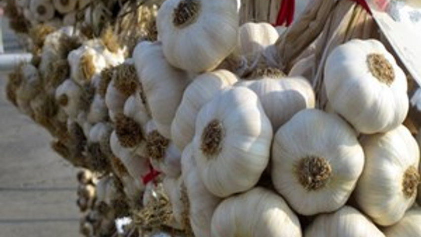 Rekor kuru sarımsak ve salatalıkta!