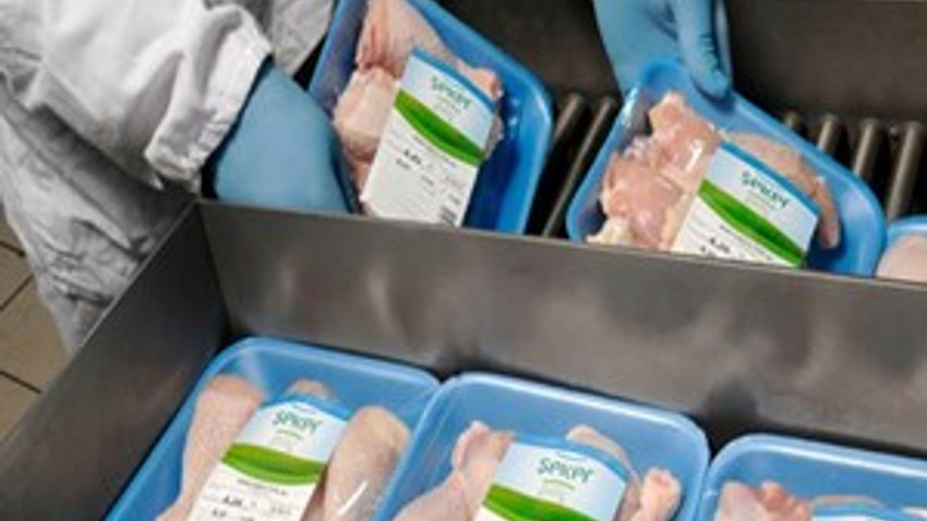 Piliç devi iflas etti