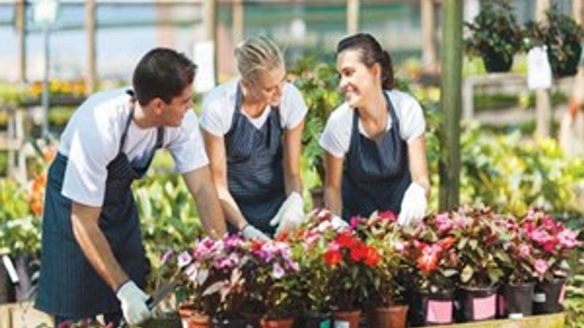 Çiçek  üreticilerinden ithal işçi talebi