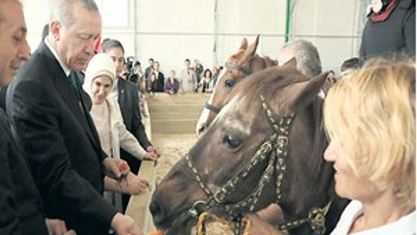 Katar Emiri’nden Arap atı sürprizi