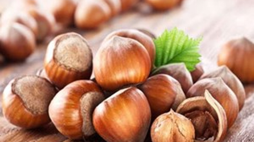 Fındık üreticisine kalkınma önerisi!