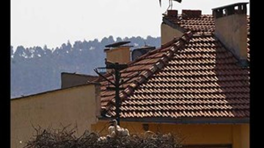 3 milyon liralık yatırım 3 leyleğe kaldı