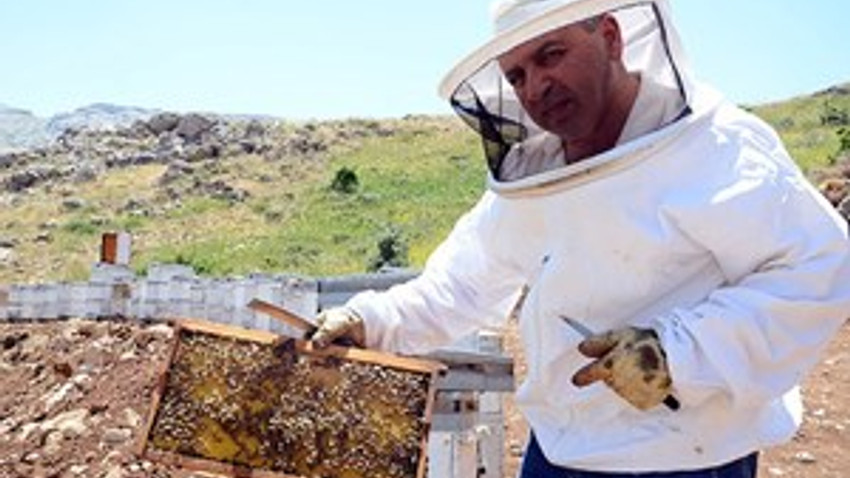 Hobi olarak başladı Dünya ikincisi oldu