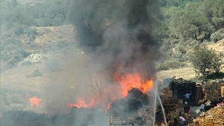 Sultangazi-Cebeci mevkiindeki ormanlık alanda yangın çıktı!
