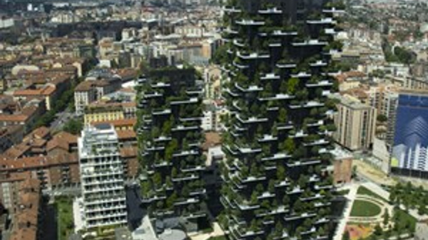 Milano'da gökyüzüne yükselen orman binaları
