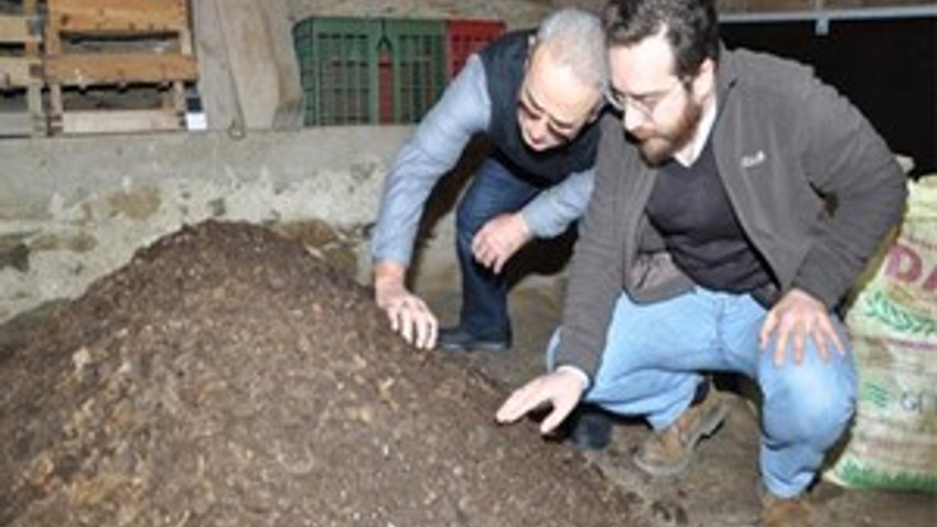 Akademik kariyerini bıraktı solucan işi yapıyor!