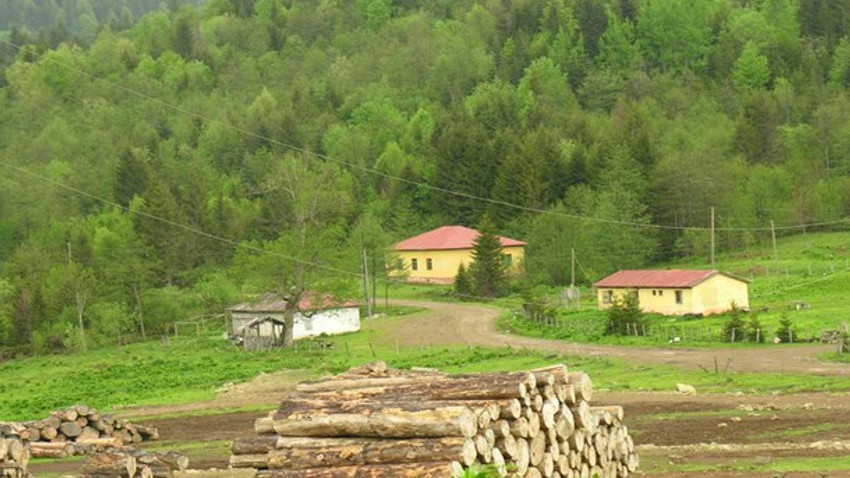 Yayla alanları da artık kiralanıyor