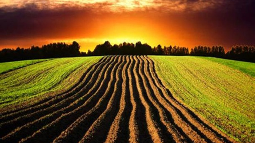 İşlenmeyen tarım arazileri kiraya verilecek