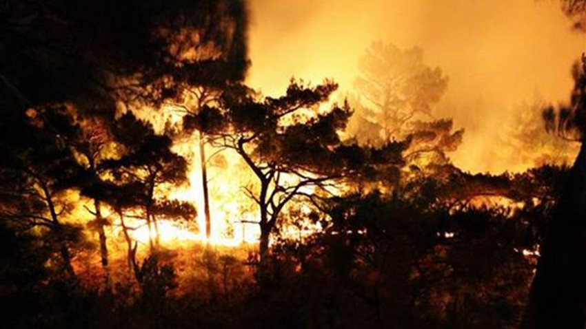 Marmara'nın ciğeri yanıyor! Kazdağları'nda yangın!