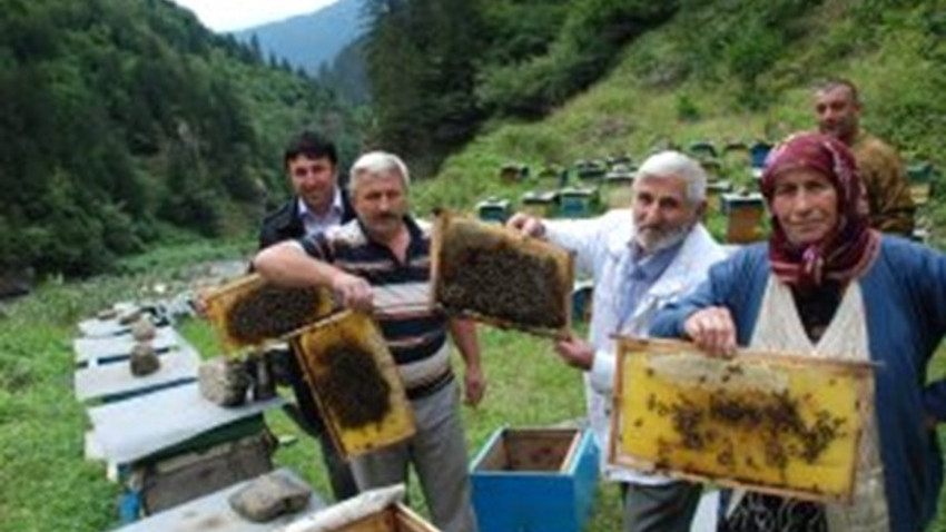 Altının yeni rakibi belli oldu! Almak isteyenler 1 yıl bekliyor