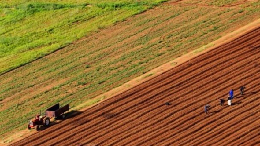 Türkler Sudan'ın tarım arazilerine yöneldi