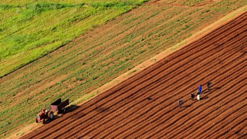 4,5 milyon hektar tarım arazisi terk edildi!