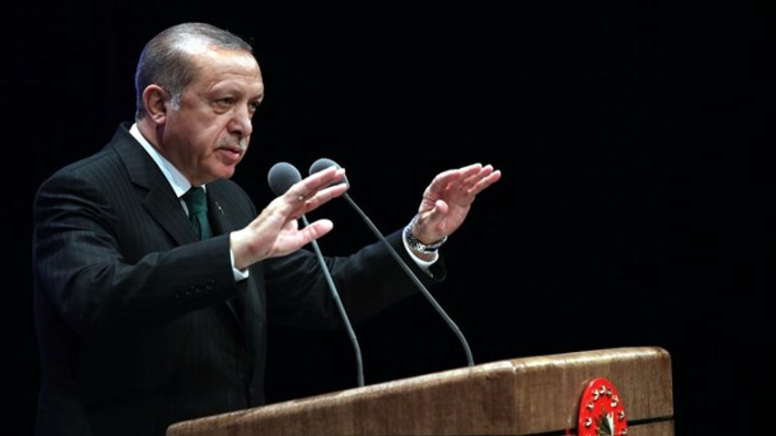 Erdoğan: Dilimde söylemekten tüy bitti!