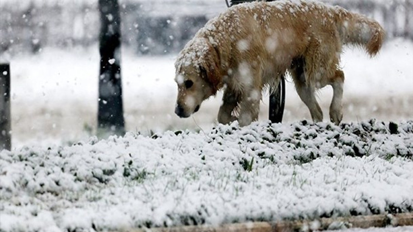 Kar İstanbul'un kapısına dayandı! 12 derecelik düşüş