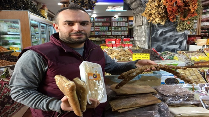 Zeytin Dalı Harekatı'na destek 