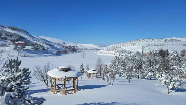 Arap turistler Ordu'nun kar manzarasına akın ediyor! - Sayfa 1