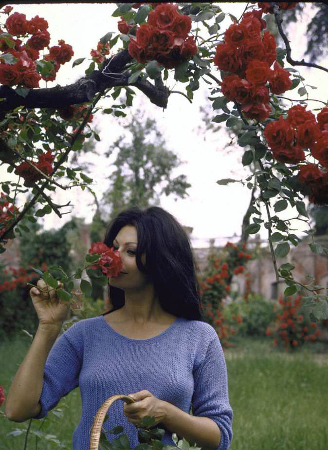 Sophia Loren'in muhteşem villası - Sayfa 3