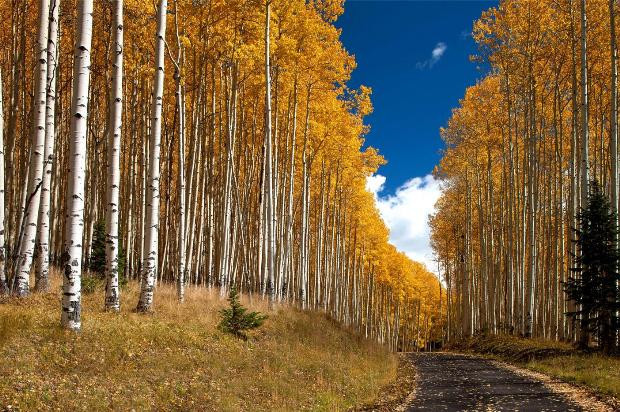Tom Cruise sığınma mekanını sattı! - Sayfa 4