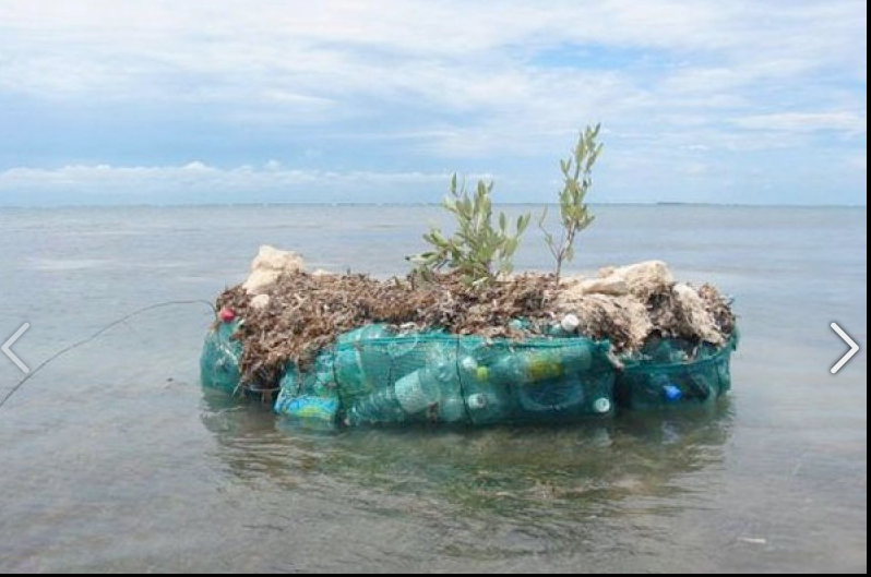 150 bin plastik şişeyle kendi adasını inşa etti - Sayfa 4