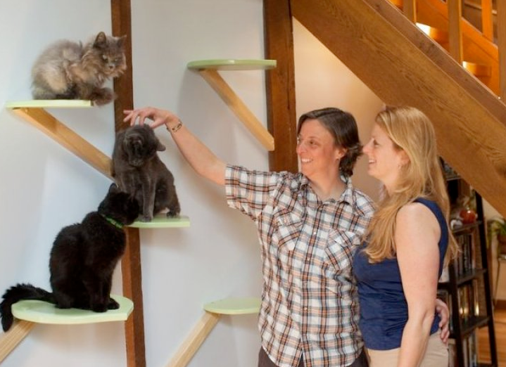 Hayvansever çift evlerini kedi sarayı yaptı - Sayfa 2