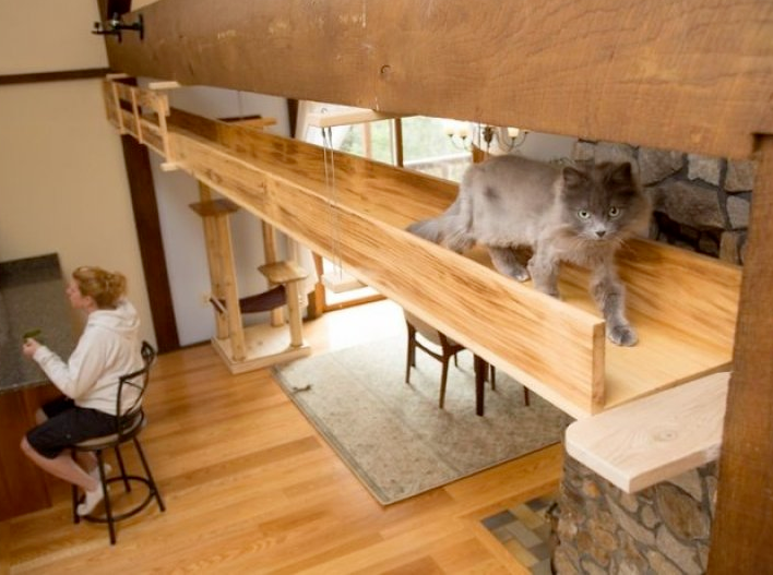 Hayvansever çift evlerini kedi sarayı yaptı - Sayfa 3