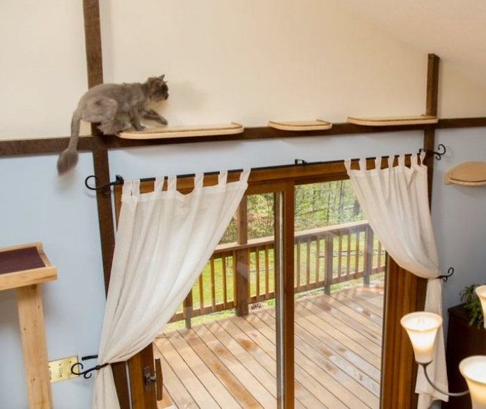 Hayvansever çift evlerini kedi sarayı yaptı - Sayfa 4