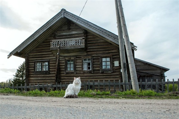 İşte Rusya'nın en güzel köyü: Kinerma - Sayfa 2