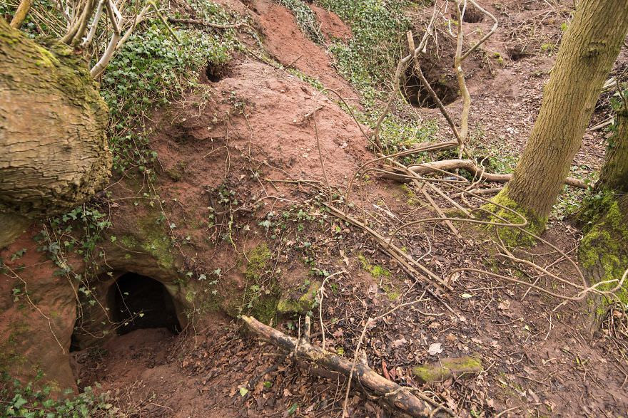 Bu tavşan deliğinden 700 yıllık gizemli bir mağaraya gidiliyor! - Sayfa 1