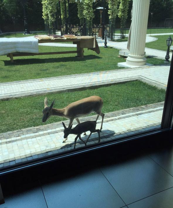 Evlat Kokusu dizisi bu evde çekiliyor! - Sayfa 4