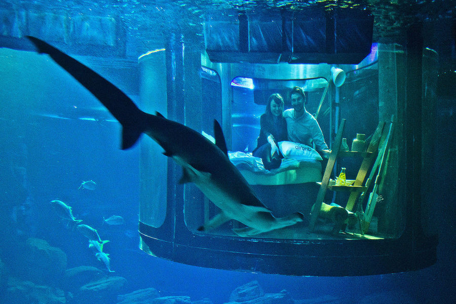 Köpek balıklarıyla çevrili otel odası: Aquarium de Paris - Sayfa 1