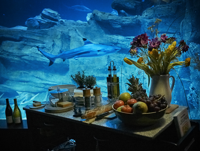 Köpek balıklarıyla çevrili otel odası: Aquarium de Paris - Sayfa 4